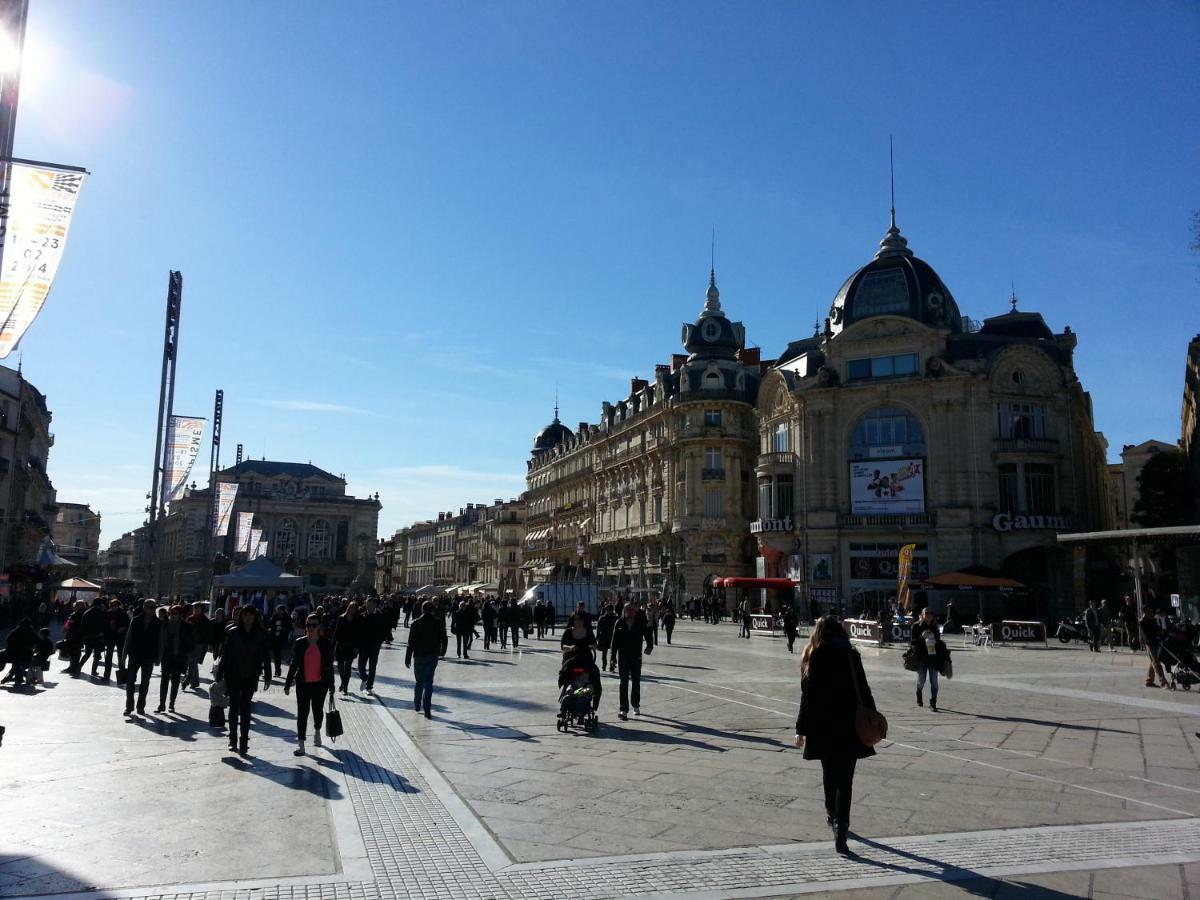 Chambre Montpellier Campanules Daire Dış mekan fotoğraf