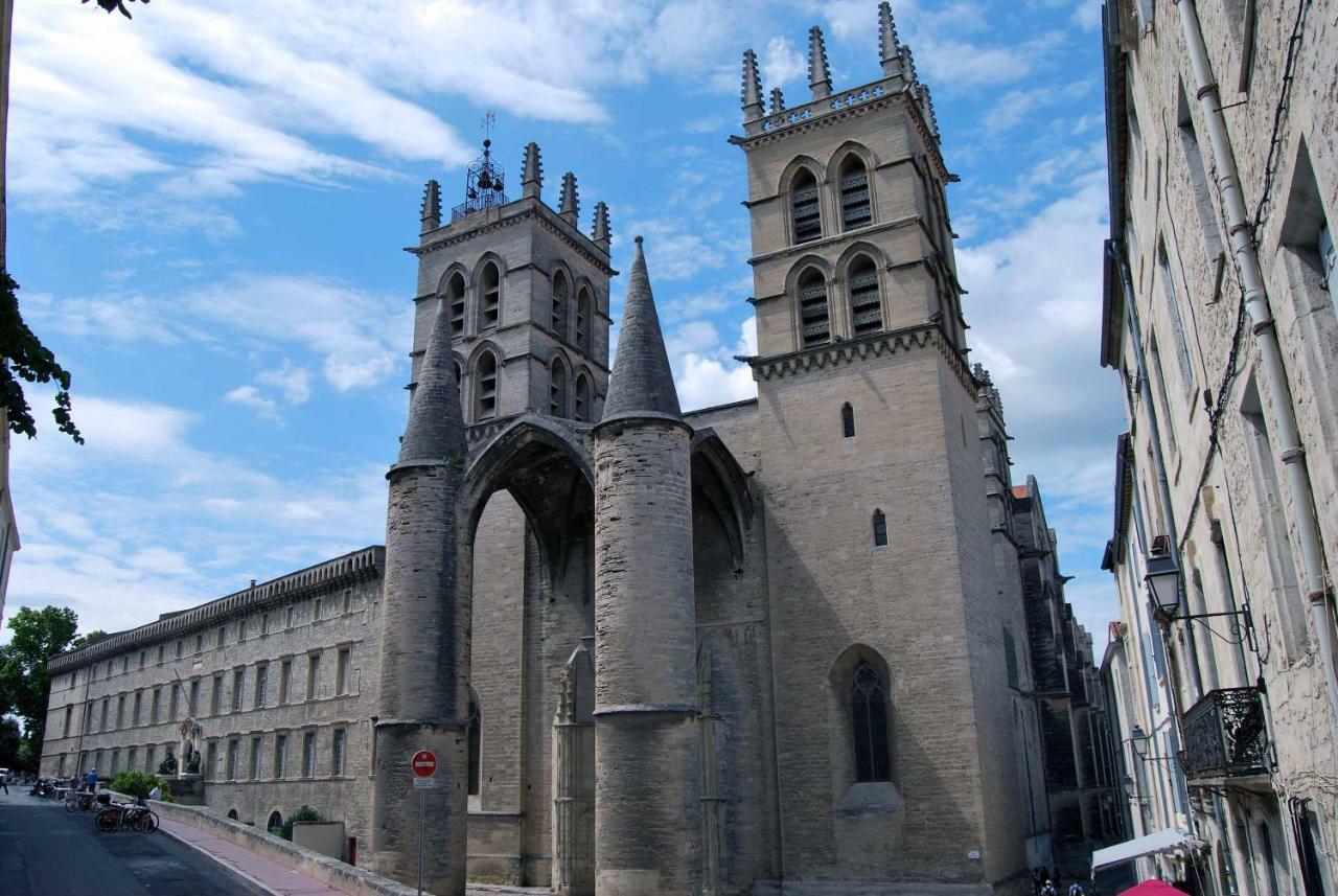 Chambre Montpellier Campanules Daire Dış mekan fotoğraf