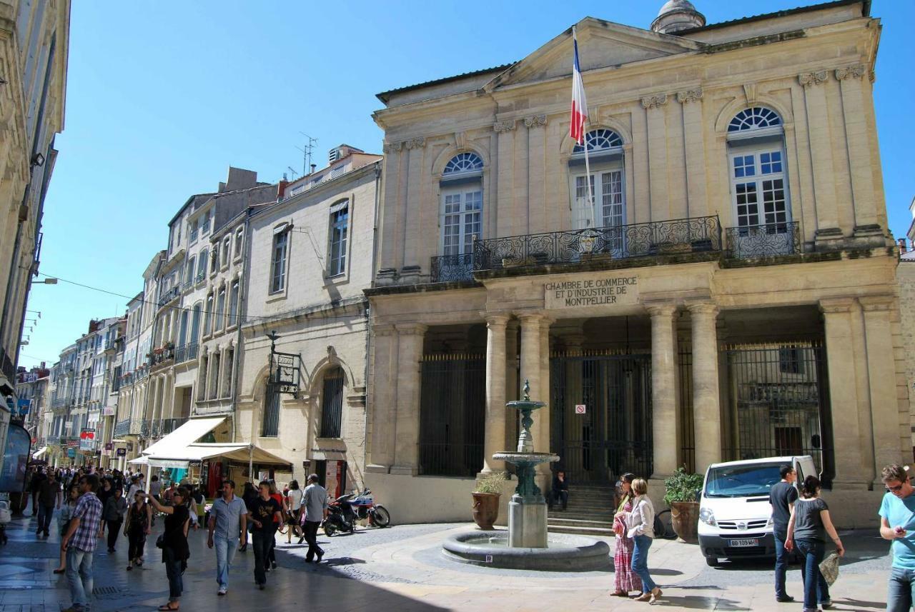Chambre Montpellier Campanules Daire Dış mekan fotoğraf